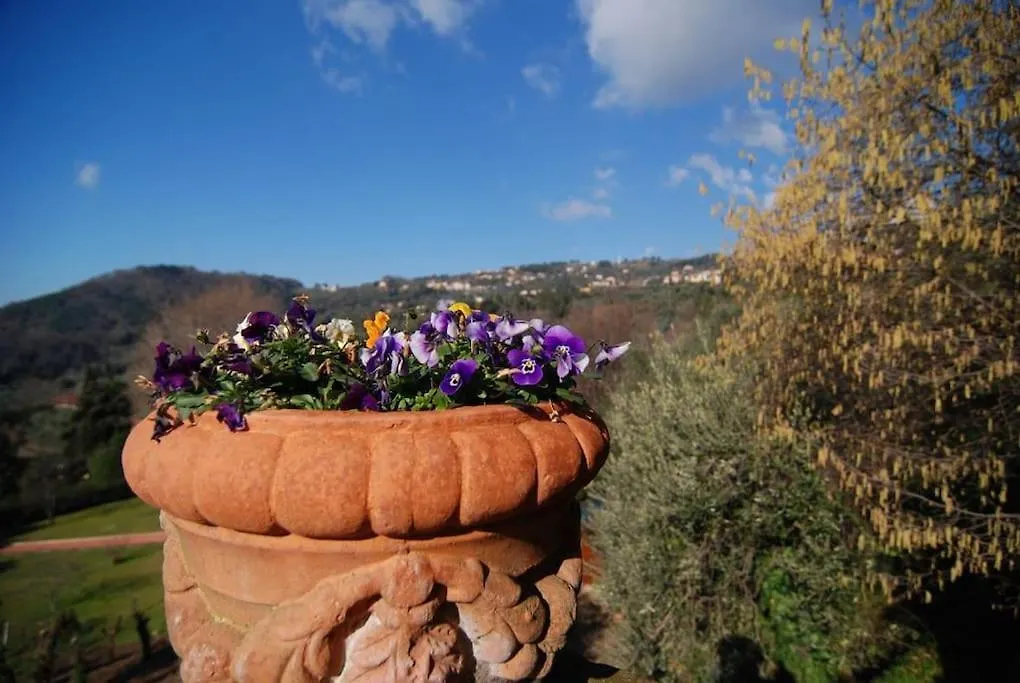 ヴィラ Conca Di Sopra Home Corsanico-Bargecchia イタリア