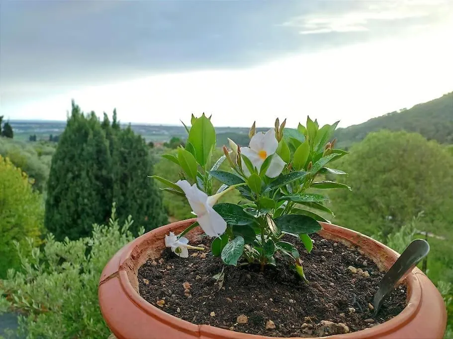Вилла Conca Di Sopra Home Corsanico-Bargecchia